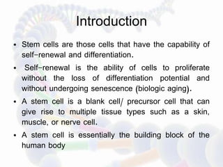Stem cells | PPTX