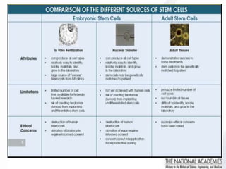 Stem cells | PPTX