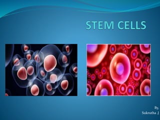 Stem cells | PPTX