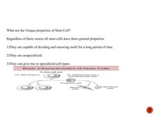 What are the Unique properties of Stem Cell?
Regardless of there source all stem cells have three general properties
1)They are capable of dividing and renewing itself for a long period of time.
2)They are unspecialized.
3)They can give rise to specialized cell types.
 