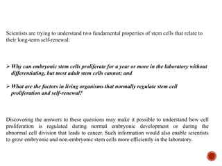 Scientists are trying to understand two fundamental properties of stem cells that relate to
their long-term self-renewal:
Why can embryonic stem cells proliferate for a year or more in the laboratory without
differentiating, but most adult stem cells cannot; and
What are the factors in living organisms that normally regulate stem cell
proliferation and self-renewal?
Discovering the answers to these questions may make it possible to understand how cell
proliferation is regulated during normal embryonic development or during the
abnormal cell division that leads to cancer. Such information would also enable scientists
to grow embryonic and non-embryonic stem cells more efficiently in the laboratory.
 