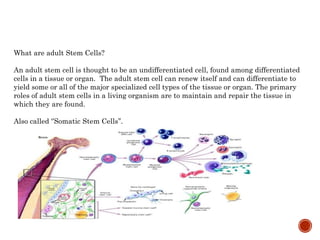 What are adult Stem Cells?
An adult stem cell is thought to be an undifferentiated cell, found among differentiated
cells in a tissue or organ. The adult stem cell can renew itself and can differentiate to
yield some or all of the major specialized cell types of the tissue or organ. The primary
roles of adult stem cells in a living organism are to maintain and repair the tissue in
which they are found.
Also called ‘’Somatic Stem Cells’’.
 