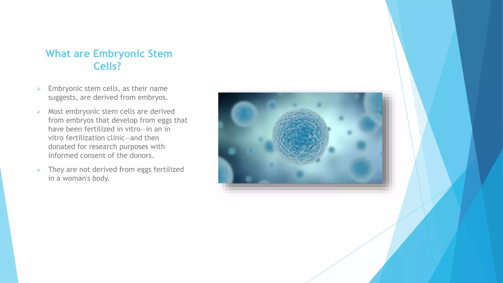 What are Embryonic Stem
Cells?
 Embryonic stem cells, as their name
suggests, are derived from embryos.
 Most embryonic stem cells are derived
from embryos that develop from eggs that
have been fertilized in vitro—in an in
vitro fertilization clinic—and then
donated for research purposes with
informed consent of the donors.
 They are not derived from eggs fertilized
in a woman's body.
 
