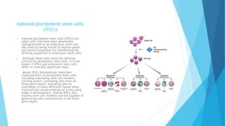 Induced pluripotent stem cells
(iPSCs)
 Induced pluripotent stem cells (iPSCs) are
adult cells that have been genetically
reprogrammed to an embryonic stem cell–
like state by being forced to express genes
and factors important for maintaining the
defining properties of embryonic stem cells.
 Although these cells meet the defining
criteria for pluripotent stem cells, it is not
known if iPSCs and embryonic stem cells
differ in clinically significant ways.
 Mouse iPSCs demonstrate important
characteristics of pluripotent stem cells,
including expressing stem cell markers,
forming tumors containing cells from all
three germ layers, and being able to
contribute to many different tissues when
injected into mouse embryos at a very early
stage in development. Human iPSCs also
express stem cell markers and are capable of
generating cells characteristic of all three
germ layers.
 
