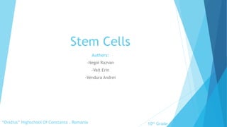 Stem Cells
Authors:
-Negoi Razvan
-Vait Erin
-Vendura Andrei
“Ovidius” Highschool Of Constanta , Romania 10th Grade
 