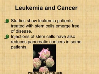 Leukemia Injection Stem cells | PPT