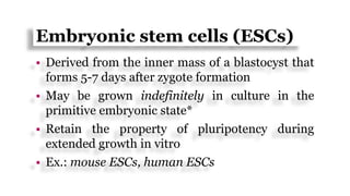 Embryonic stem cells (ESCs)
 Derived from the inner mass of a blastocyst that
forms 5-7 days after zygote formation
 May be grown indefinitely in culture in the
primitive embryonic state*
 Retain the property of pluripotency during
extended growth in vitro
 Ex.: mouse ESCs, human ESCs
 