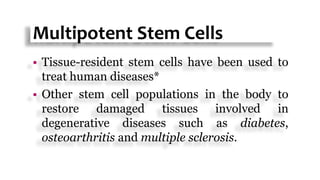 Multipotent Stem Cells
 Tissue-resident stem cells have been used to
treat human diseases*
 Other stem cell populations in the body to
restore damaged tissues involved in
degenerative diseases such as diabetes,
osteoarthritis and multiple sclerosis.
 