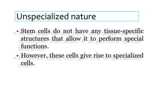 Unspecialized nature
 Stem cells do not have any tissue-specific
structures that allow it to perform special
functions.
 However, these cells give rise to specialized
cells.
 