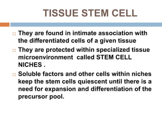 TISSUE STEM CELL
 They are found in intimate association with
the differentiated cells of a given tissue
 They are protected within specialized tissue
microenvironment called STEM CELL
NICHES .
 Soluble factors and other cells within niches
keep the stem cells quiescent until there is a
need for expansion and differentiation of the
precursor pool.
 