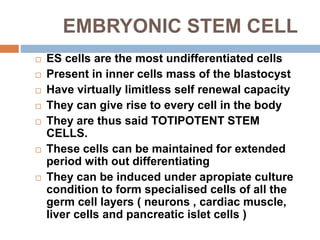 EMBRYONIC STEM CELL
 ES cells are the most undifferentiated cells
 Present in inner cells mass of the blastocyst
 Have virtually limitless self renewal capacity
 They can give rise to every cell in the body
 They are thus said TOTIPOTENT STEM
CELLS.
 These cells can be maintained for extended
period with out differentiating
 They can be induced under apropiate culture
condition to form specialised cells of all the
germ cell layers ( neurons , cardiac muscle,
liver cells and pancreatic islet cells )
 