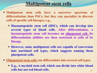 Multipotent stem cells have a narrower spectrum of
differentiation than PSCs, but they can specialize in discrete
cells of specific cell lineages, e.g.,
 Haematopoietic stem cell (HSC), which can develop into
several types of blood cells. After differentiation, a
haematopoietic stem cell becomes an oligopotent cell. Its
differentiation abilities are then restricted to cells of its
lineage.
 However, some multipotent cells are capable of conversion
into unrelated cell types, which suggests naming them
pluripotent cells.
 Oligopotent stem cells can differentiate into several cell types.
 E.g., A myeloid stem cell, which can divide into white blood
cells but not red blood cells. 10
Multipotent stem cells
 
