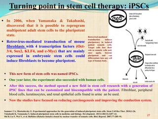 In 2006, when Yamanaka & Takahashi,
discovered that it is possible to reprogram
multipotent adult stem cells to the pluripotent
state.
 Retrovirus-mediated transduction of mouse
fibroblasts with 4 transcription factors (Oct-
3/4, Sox2, KLF4, and c-Myc) that are mainly
expressed in embryonic stem cells could
induce fibroblasts to become pluripotent.
Sommer CA, Mostoslavsky G. Experimental approaches for the generation of induced pluripotent stem cells. Stem Cell Res Ther. 2010;1:26.
Takahashi K, Yamanaka S. Induced pluripotent stem cells in medicine and biology. Development. 2013;140(12):2457–61.
Shi D, Lu F, Wei Y, et al. Buffalos (Bubalus bubalis) cloned by nuclear transfer of somatic cells. Biol. Reprod. 2007;77:285–91.
 This new form of stem cells was named iPSCs.
 One year later, the experiment also succeeded with human cells.
 After this success, the method opened a new field in stem cell research with a generation of
iPSC lines that can be customized and biocompatible with the patient. Fibroblast, peripheral
blood cells, keratinocytes, and renal epithelial cells found in urine an be used.
 Now the studies have focused on reducing carcinogenesis and improving the conduction system.
Retroviral-mediated
transduction induces
pluripotency in isolated
patient somatic cells.
Target cells lose their
role as somatic cells and,
once again, become
pluripotent and can
differentiate into any cell
type of human body.
27
Turning point in stem cell therapy: iPSCs
 