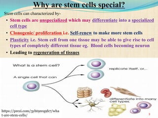 Stem cells can characterized by-
• Stem cells are unspecialized which may differentiate into a specialized
cell type
• Clonogenic/ proliferation i.e. Self-renew to make more stem cells
• Plasticity i.e. Stem cell from one tissue may be able to give rise to cell
types of completely different tissue eg. Blood cells becoming neuron
• Leading to regeneration of tissues
Why are stem cells special?
https://prezi.com/3yht9req9fs7/wha
t-are-stem-cells/ 3
 
