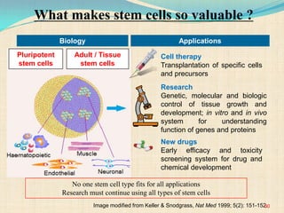 Research
Genetic, molecular and biologic
control of tissue growth and
development; in vitro and in vivo
system for understanding
function of genes and proteins
New drugs
Early efficacy and toxicity
screening system for drug and
chemical development
What makes stem cells so valuable ?
Image modified from Keller & Snodgrass, Nat Med 1999; 5(2): 151-152.
Pluripotent
stem cells
Adult / Tissue
stem cells
No one stem cell type fits for all applications
Research must continue using all types of stem cells
Biology Applications
Cell therapy
Transplantation of specific cells
and precursors
30
 