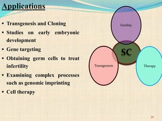 Transgenesis and Cloning
 Studies on early embryonic
development
 Gene targeting
 Obtaining germ cells to treat
infertility
 Examining complex processes
such as genomic imprinting
 Cell therapy
Applications
31
SC
Fertility
TherapyTransgenesis
 