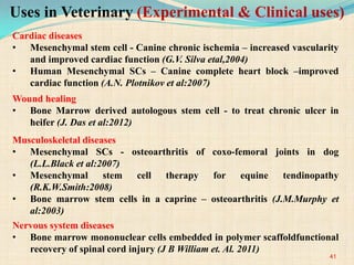 Cardiac diseases
• Mesenchymal stem cell - Canine chronic ischemia – increased vascularity
and improved cardiac function (G.V. Silva etal,2004)
• Human Mesenchymal SCs – Canine complete heart block –improved
cardiac function (A.N. Plotnikov et al:2007)
Wound healing
• Bone Marrow derived autologous stem cell - to treat chronic ulcer in
heifer (J. Das et al:2012)
Musculoskeletal diseases
• Mesenchymal SCs - osteoarthritis of coxo-femoral joints in dog
(L.L.Black et al:2007)
• Mesenchymal stem cell therapy for equine tendinopathy
(R.K.W.Smith:2008)
• Bone marrow stem cells in a caprine – osteoarthritis (J.M.Murphy et
al:2003)
Nervous system diseases
• Bone marrow mononuclear cells embedded in polymer scaffoldfunctional
recovery of spinal cord injury (J B William et. Al. 2011)
41
Uses in Veterinary (Experimental & Clinical uses)
 