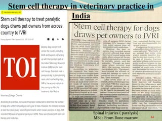 Spinal injuries ( paralysis)
MSc : From Bone marrow 44
Stem cell therapy in veterinary practice in
India
 