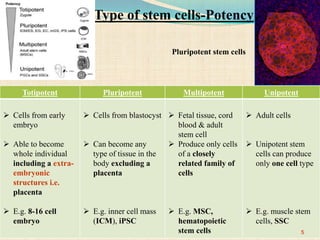 Totipotent Pluripotent Multipotent Unipotent
 Cells from early
embryo
 Able to become
whole individual
including a extra-
embryonic
structures i.e.
placenta
 E.g. 8-16 cell
embryo
 Cells from blastocyst
 Can become any
type of tissue in the
body excluding a
placenta
 E.g. inner cell mass
(ICM), iPSC
 Fetal tissue, cord
blood & adult
stem cell
 Produce only cells
of a closely
related family of
cells
 E.g. MSC,
hematopoietic
stem cells
 Adult cells
 Unipotent stem
cells can produce
only one cell type
 E.g. muscle stem
cells, SSC
Type of stem cells-Potency
5
Pluripotent stem cells
 