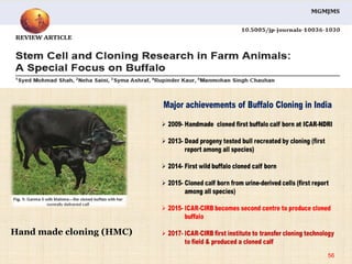 56
Hand made cloning (HMC)
 