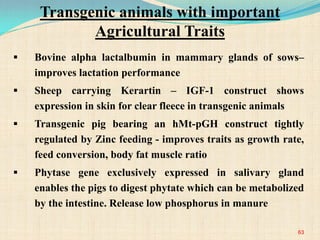  Bovine alpha lactalbumin in mammary glands of sows–
improves lactation performance
 Sheep carrying Kerartin – IGF-1 construct shows
expression in skin for clear fleece in transgenic animals
 Transgenic pig bearing an hMt-pGH construct tightly
regulated by Zinc feeding - improves traits as growth rate,
feed conversion, body fat muscle ratio
 Phytase gene exclusively expressed in salivary gland
enables the pigs to digest phytate which can be metabolized
by the intestine. Release low phosphorus in manure
63
Transgenic animals with important
Agricultural Traits
 