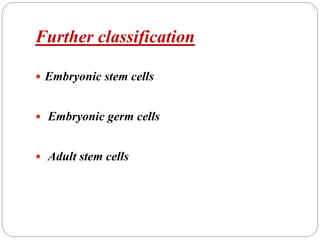 Further classification
 Embryonic stem cells
 Embryonic germ cells
 Adult stem cells
 