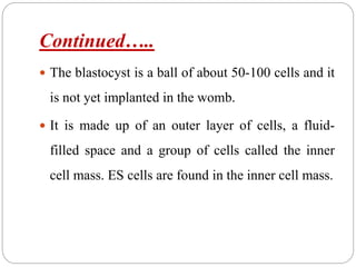 Continued…..
 The blastocyst is a ball of about 50-100 cells and it
is not yet implanted in the womb.
 It is made up of an outer layer of cells, a fluid-
filled space and a group of cells called the inner
cell mass. ES cells are found in the inner cell mass.
 