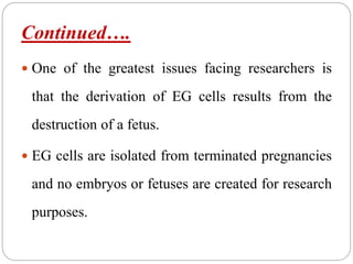 Continued….
 One of the greatest issues facing researchers is
that the derivation of EG cells results from the
destruction of a fetus.
 EG cells are isolated from terminated pregnancies
and no embryos or fetuses are created for research
purposes.
 