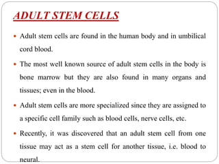 ADULT STEM CELLS
 Adult stem cells are found in the human body and in umbilical
cord blood.
 The most well known source of adult stem cells in the body is
bone marrow but they are also found in many organs and
tissues; even in the blood.
 Adult stem cells are more specialized since they are assigned to
a specific cell family such as blood cells, nerve cells, etc.
 Recently, it was discovered that an adult stem cell from one
tissue may act as a stem cell for another tissue, i.e. blood to
neural.
 