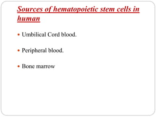 Sources of hematopoietic stem cells in
human
 Umbilical Cord blood.
 Peripheral blood.
 Bone marrow
 