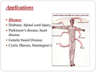 Applications
 Disease:
 Diabetes, Spinal cord injury,
 Parkinson’s disease, heart
disease.
 Genetic based Disease.
 Cystic fibrosis, Huntington’s
 