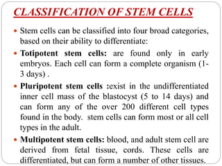 CLASSIFICATION OF STEM CELLS
 Stem cells can be classified into four broad categories,
based on their ability to differentiate:
 Totipotent stem cells: are found only in early
embryos. Each cell can form a complete organism (1-
3 days) .
 Pluripotent stem cells :exist in the undifferentiated
inner cell mass of the blastocyst (5 to 14 days) and
can form any of the over 200 different cell types
found in the body. stem cells can form most or all cell
types in the adult.
 Multipotent stem cells: blood, and adult stem cell are
derived from fetal tissue, cords. These cells are
differentiated, but can form a number of other tissues.
 