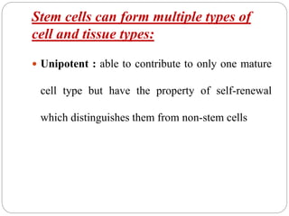 Stem cells can form multiple types of
cell and tissue types:
 Unipotent : able to contribute to only one mature
cell type but have the property of self-renewal
which distinguishes them from non-stem cells
 