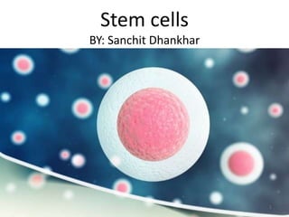 Stem cells
BY: Sanchit Dhankhar
1
 