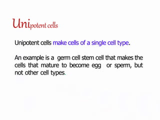 Unipotent Stem cells & Regenerative Medicine | PPTX