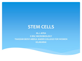 Stem Cells | PPT