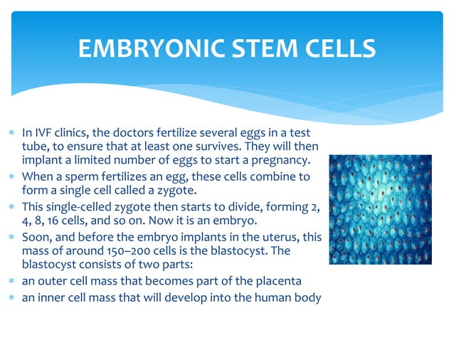 Stem Cells | PPT