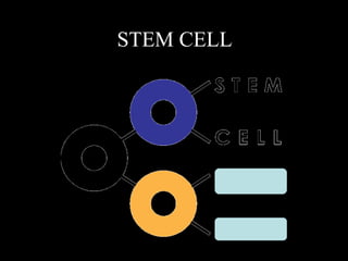STEM CELL  SCAN – Stem Cell Action Network 