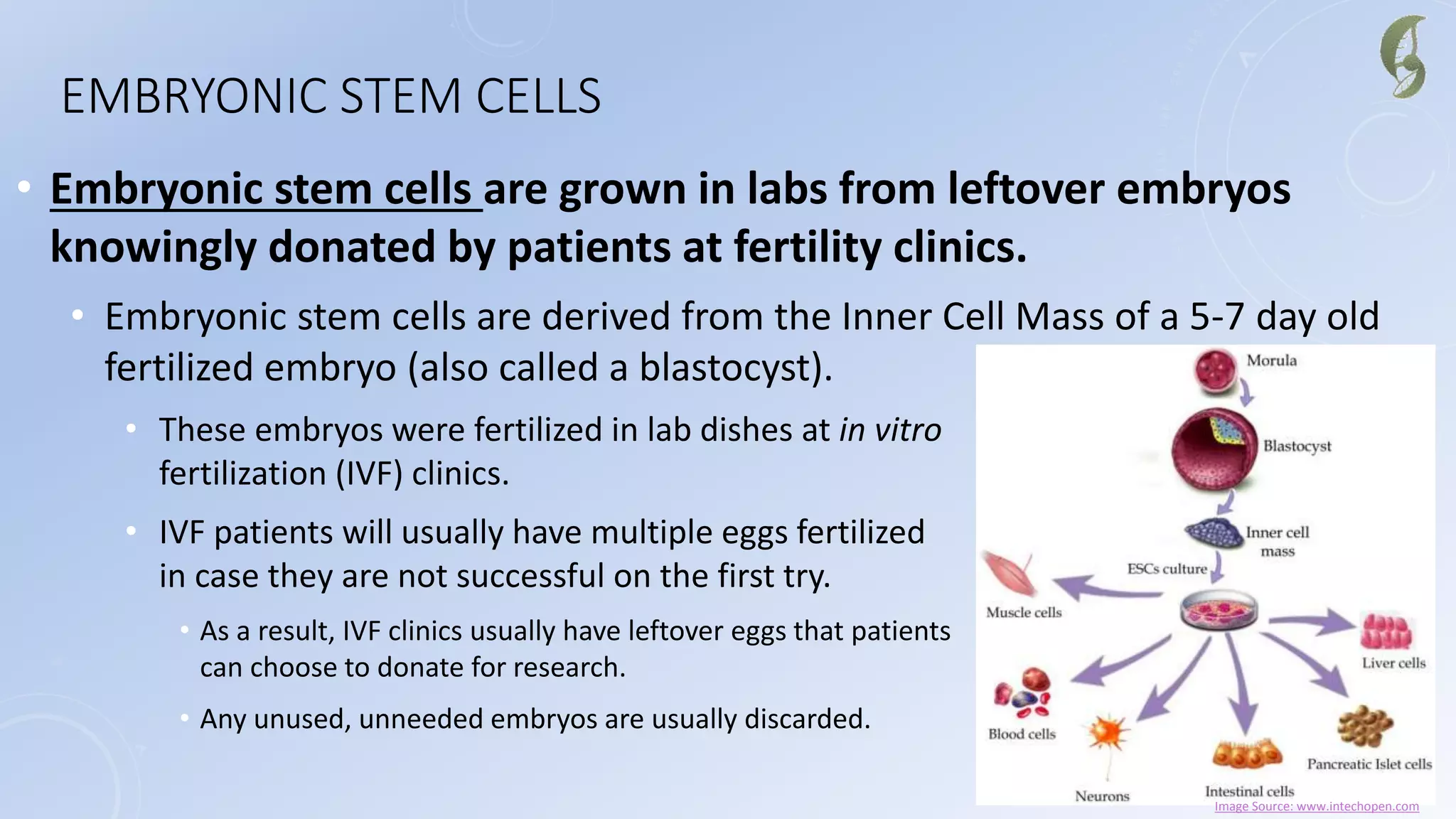 EMBRYONIC STEM CELLS
• Embryonic stem cells are grown in labs from leftover embryos
knowingly donated by patients at fertility clinics.
• Embryonic stem cells are derived from the Inner Cell Mass of a 5-7 day old
fertilized embryo (also called a blastocyst).
• These embryos were fertilized in lab dishes at in vitro
fertilization (IVF) clinics.
• IVF patients will usually have multiple eggs fertilized
in case they are not successful on the first try.
• As a result, IVF clinics usually have leftover eggs that patients
can choose to donate for research.
• Any unused, unneeded embryos are usually discarded.
Image Source: www.intechopen.com
 