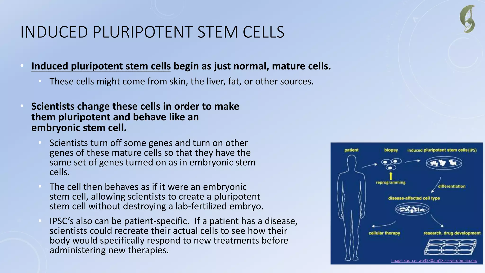 INDUCED PLURIPOTENT STEM CELLS
• Induced pluripotent stem cells begin as just normal, mature cells.
• These cells might come from skin, the liver, fat, or other sources.
• Scientists change these cells in order to make
them pluripotent and behave like an
embryonic stem cell.
• Scientists turn off some genes and turn on other
genes of these mature cells so that they have the
same set of genes turned on as in embryonic stem
cells.
• The cell then behaves as if it were an embryonic
stem cell, allowing scientists to create a pluripotent
stem cell without destroying a lab-fertilized embryo.
• IPSC’s also can be patient-specific. If a patient has a disease,
scientists could recreate their actual cells to see how their
body would specifically respond to new treatments before
administering new therapies.
Image Source: wa3230.mj13.serverdomain.org
 