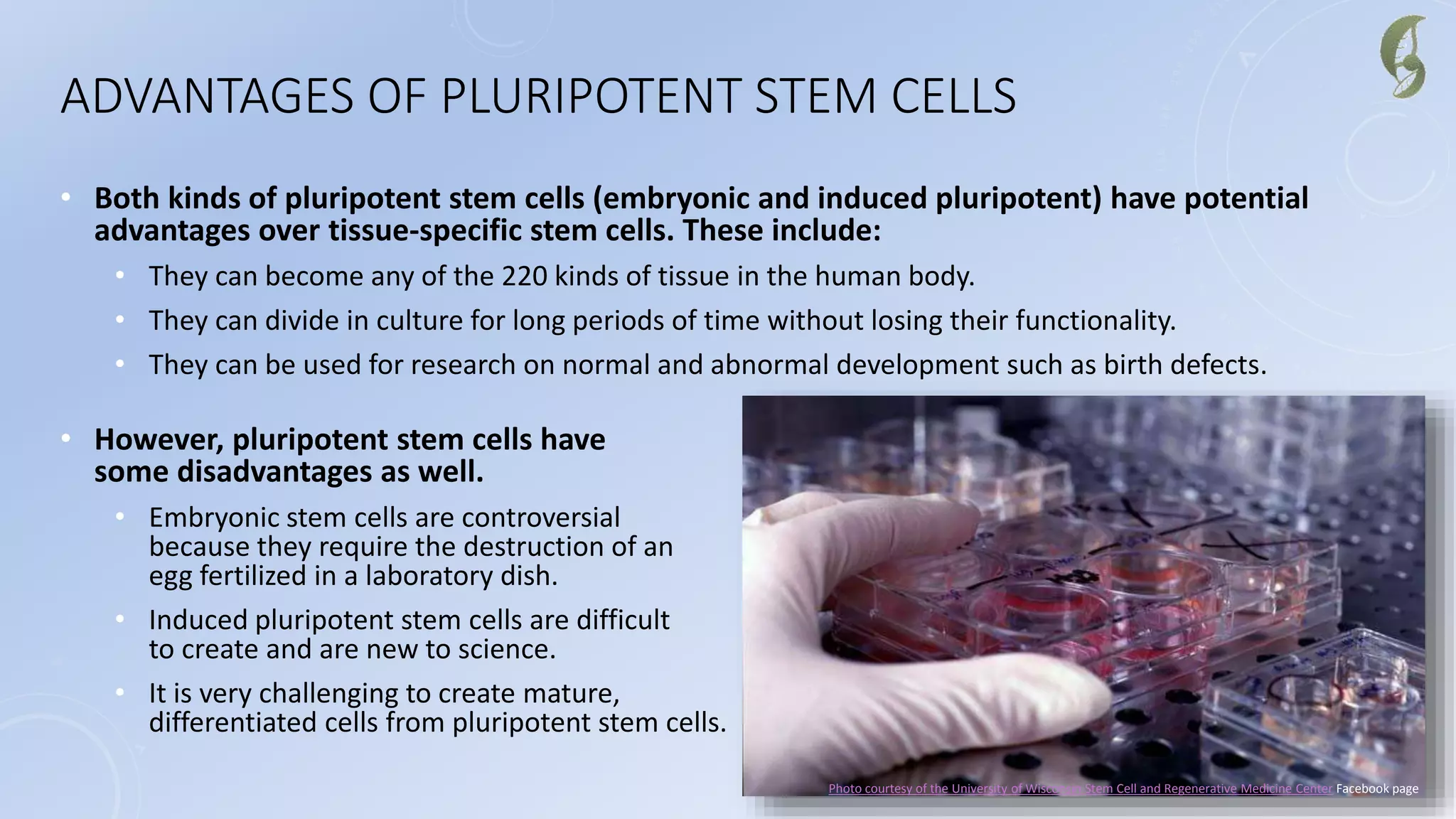 ADVANTAGES OF PLURIPOTENT STEM CELLS
• Both kinds of pluripotent stem cells (embryonic and induced pluripotent) have potential
advantages over tissue-specific stem cells. These include:
• They can become any of the 220 kinds of tissue in the human body.
• They can divide in culture for long periods of time without losing their functionality.
• They can be used for research on normal and abnormal development such as birth defects.
• However, pluripotent stem cells have
some disadvantages as well.
• Embryonic stem cells are controversial
because they require the destruction of an
egg fertilized in a laboratory dish.
• Induced pluripotent stem cells are difficult
to create and are new to science.
• It is very challenging to create mature,
differentiated cells from pluripotent stem cells.
Photo courtesy of the University of Wisconsin Stem Cell and Regenerative Medicine Center Facebook page
 