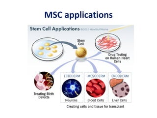 MSC applications
 