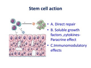 Stem cell action
• A. Direct repair
• B. Soluble growth
factors ,cytokines-
Paracrine effect
• C.Immunomodulatory
effects
 