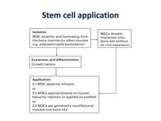 Stem cell application
 
