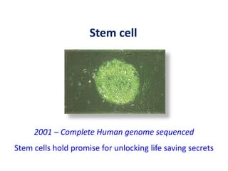 Stem cell
2001 – Complete Human genome sequenced
Stem cells hold promise for unlocking life saving secrets
 