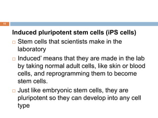11
Induced pluripotent stem cells (iPS cells)
 Stem cells that scientists make in the
laboratory
 Induced’ means that they are made in the lab
by taking normal adult cells, like skin or blood
cells, and reprogramming them to become
stem cells.
 Just like embryonic stem cells, they are
pluripotent so they can develop into any cell
type
 