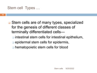 Stem cell Types …
 Stem cells are of many types, specialized
for the genesis of different classes of
terminally differentiated cells—
 intestinal stem cells for intestinal epithelium,
 epidermal stem cells for epidermis,
 hematopoietic stem cells for blood
9/20/2022
Stem cells
12
 