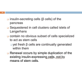  insulin-secreting cells (β cells) of the
pancreas
 Sequestered in cell clusters called islets of
Langerhans
 contain no obvious subset of cells specialized
to act as stem cells
 yet fresh β cells are continually generated
within them
 Renewal occurs by simple duplication of the
existing insulin-expressing cells, not by
means of stem cells.
9/20/2022
Stem cells
14
 