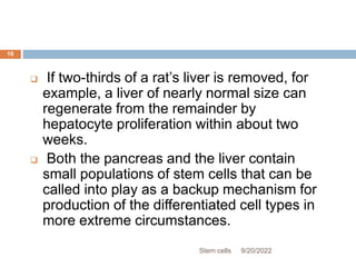  If two-thirds of a rat’s liver is removed, for
example, a liver of nearly normal size can
regenerate from the remainder by
hepatocyte proliferation within about two
weeks.
 Both the pancreas and the liver contain
small populations of stem cells that can be
called into play as a backup mechanism for
production of the differentiated cell types in
more extreme circumstances.
9/20/2022
Stem cells
16
 