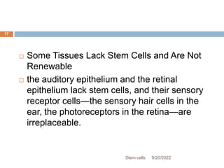  Some Tissues Lack Stem Cells and Are Not
Renewable
 the auditory epithelium and the retinal
epithelium lack stem cells, and their sensory
receptor cells—the sensory hair cells in the
ear, the photoreceptors in the retina—are
irreplaceable.
9/20/2022
Stem cells
17
 